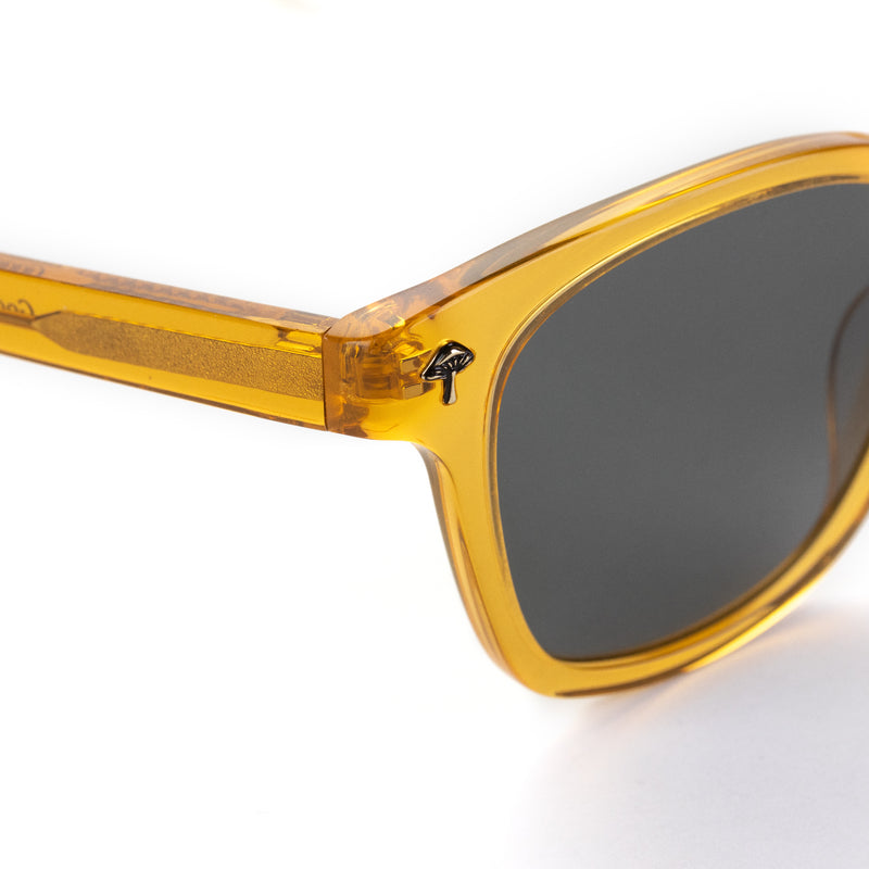 Boomer Shades - crystal honey