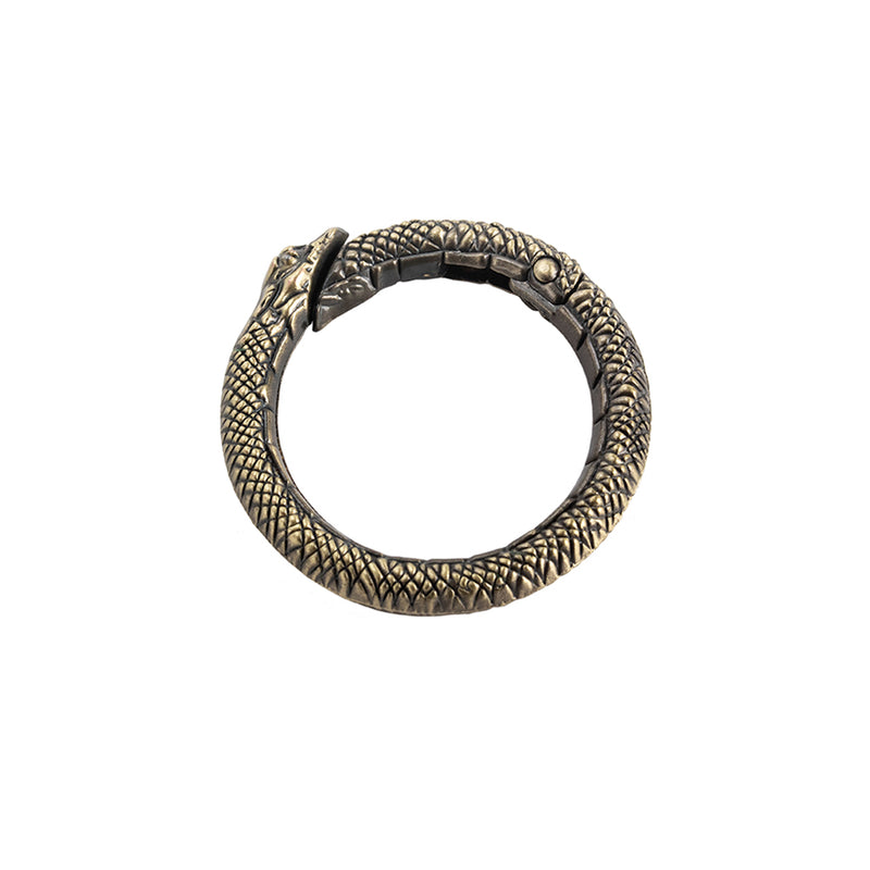 Ouroboros Carabiner